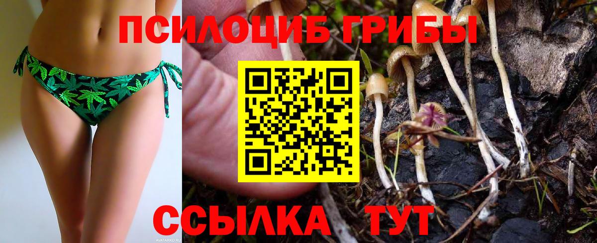 Псилоцибиновые грибы GOLDEN TEACHER  Вход с VPN  Нижнеудинск  Галлюциногенные грибы Psilocybine cubensis 